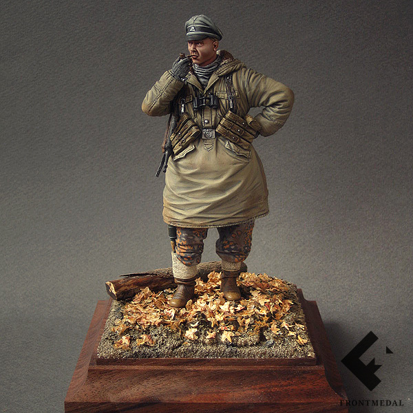 Командир Войск СС (Венгрия, осень 1944)