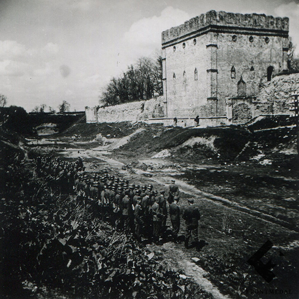 ���: 7 ������� ����-���� �� ��������������� ���������, 1941/42 ��.