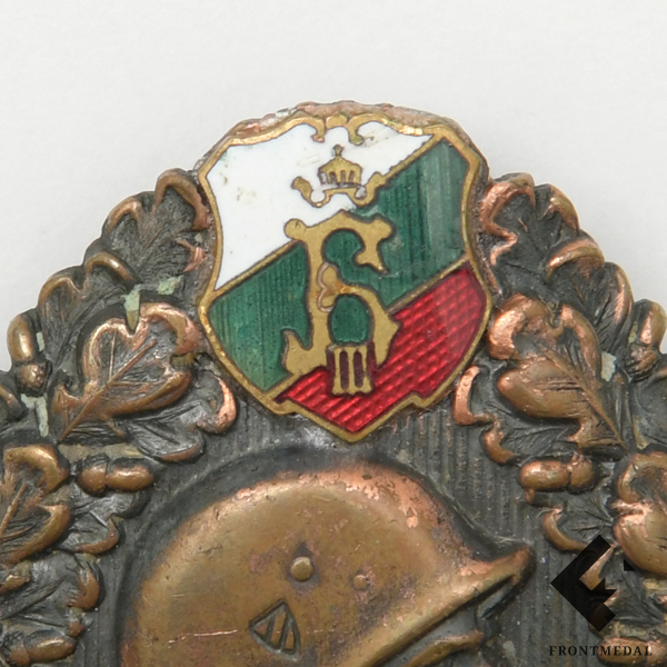Почетный пехотный знак в бронзе (Болгария, ВМВ)