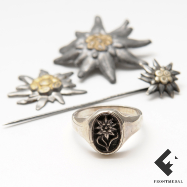 �������� � �������� 1-� ��������������� ������� ��������