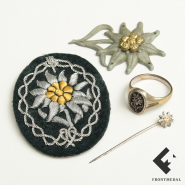 �������� � �������� 1-� ��������������� ������� - ���������