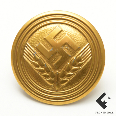 Золотая служебная брошь начальника штаба женской молодежи RAD